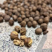 گردو اصل تویسرکان سرابی درجه یک