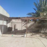 کانکس فروشی