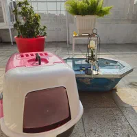 ظرف خاک گربه صورتی مسقف