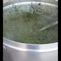 سبزی خوش عطر خوش طعم رامهرمز