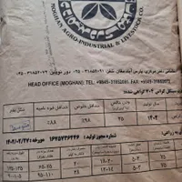 توزیع انواع بذر ذرت بصورت عمده و خرده|عمده‌فروشی|مرودشت, گندم‎|دیوار