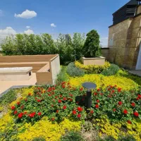 دروس/محسنیان/۶۰متر/۱خواب/تکواحدی