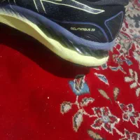 اسیکس ۴۳|کیف، کفش، کمربند|تهران, مولوی|دیوار