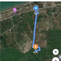 فروش زمین شالیزاری|فروش دفتر صنعتی، کشاورزی، تجاری|ساری, |دیوار