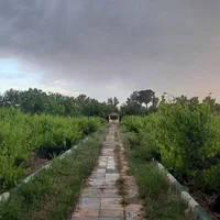 اجاره ۱۸۰۰۰مترچهار دیواری|اجارهٔ دفتر صنعتی، کشاورزی، تجاری|نسیم‌شهر, |دیوار