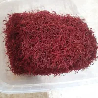 نگین زعفران امسال