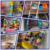 پتشاپ منقارخم ها(تجهیزات و ملزومات پرندگان زینتی)|لوازم جانبی حیوانات|قم, نخودی|دیوار