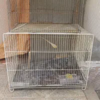 یک عدد جارو برقی کوچک سالم در حد نو ودو عدد قفس