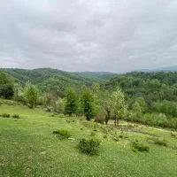 فروش زمین روستایی ۴۰۰۰ متری در منطقه کوهپایه ای|فروش زمین و ملک کلنگی|رشت, گیل|دیوار