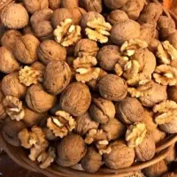 فروش گردو عمده و خرده