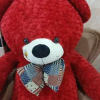 خرس قرمز|اسباب‌‌بازی|ری, فیروزآباد|دیوار