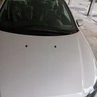 رانا1404 خشک