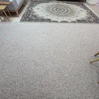 فرش و پالاز موکت|فرش|جم, |دیوار