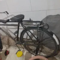 دوچرخه چینی سه مار