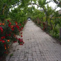 نیازمند 200کمپرسی خاک