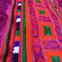 گورکش پلیوار و شیرازه و بنوک دمن دوچ میدوزم