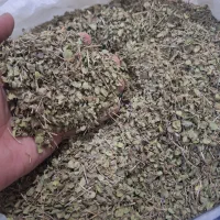 زیره و آویشن تازه ، درجه یک ،تضمینی