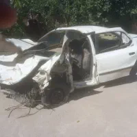 سمند تصادفی  مدل۸۸