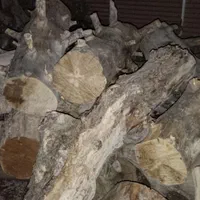 خریدار چوب باغی|خدمات باغبانی و درختکاری|بیرجند, |دیوار