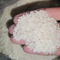 5 کیلو برنج تمیز سوسن
