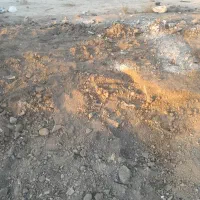 230-متر-تمام-قواره-دو-نبش-سند-تک-برگ