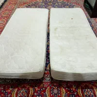 دشت تخت تکفره