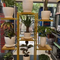 تولید قفسه ام دی اف رگال لباس|فروشگاه و مغازه|تهران, اتابک|دیوار