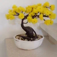 درختچه بونسای مصنوعی|گل مصنوعی|همدان, |دیوار