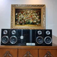 سیستم پاناسونیک کاملا سالم فلش فابریک|سیستم صوتی خانگی|تهران, گرگان|دیوار