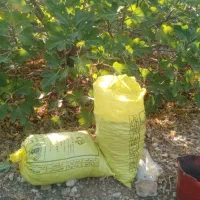 انجیر خشک تازه و تمیز  کاملا ارگانیک|خوردنی و آشامیدنی|شیراز, ارم|دیوار