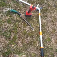 باغبانی و کشاورزی|خدمات باغبانی و درختکاری|تبریز, |دیوار