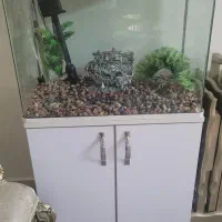 آکواریوم سالم