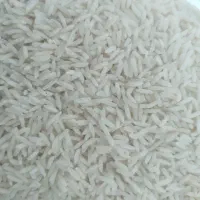 برنج طارم هاشمی درجه یک بوجاری شده