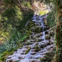 فروش خط تلفن رند