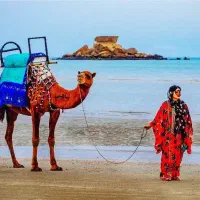 دربستی ماشین جزیره قشم