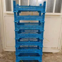 جعبه میوه (نو)|ظروف نگهدارنده، پلاستیکی، یکبارمصرف|گرمدره, |دیوار