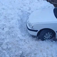 پارس ۸۸ درحد