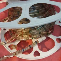 ریسه یا چراغ تزئینی|ریسه و چراغ تزئینی|دزفول, |دیوار