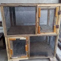 کلبه  مخصوص کبوتر. و عروس هلندی