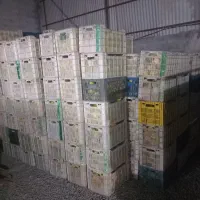 کارگر  اضافه  کار هستیم