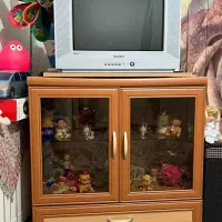 تلویزیون ۲۱ اینچ