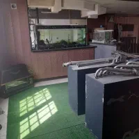 اجاره مغازه ۲۱۵ بانضمام ۷۰ بالکن و ۱۴۰ متر حیاط|اجارهٔ مغازه و غرفه|محمدیه-قزوین, |دیوار