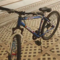 دوچرخه 26ویوا