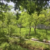 باغ 186متری با گاز و برق و آب در شهر زیبای اسکو|فروش خانه و ویلا|اسکو, |دیوار