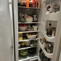 یخچال دوقلوی الکترو استیل
