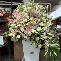 تاج گل باکس گل|گل و گیاه طبیعی|تهران, آهنگ|دیوار