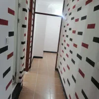 رنگ و طراحی