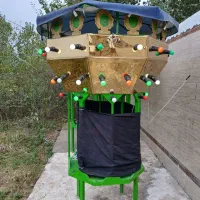 حجله|خدمات پذیرایی، مراسم|صومعهسرا, |دیوار