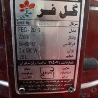 یه عدد گل فر