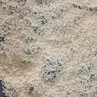 لاشه برنج هاشمی گیلان،شهر ماسال